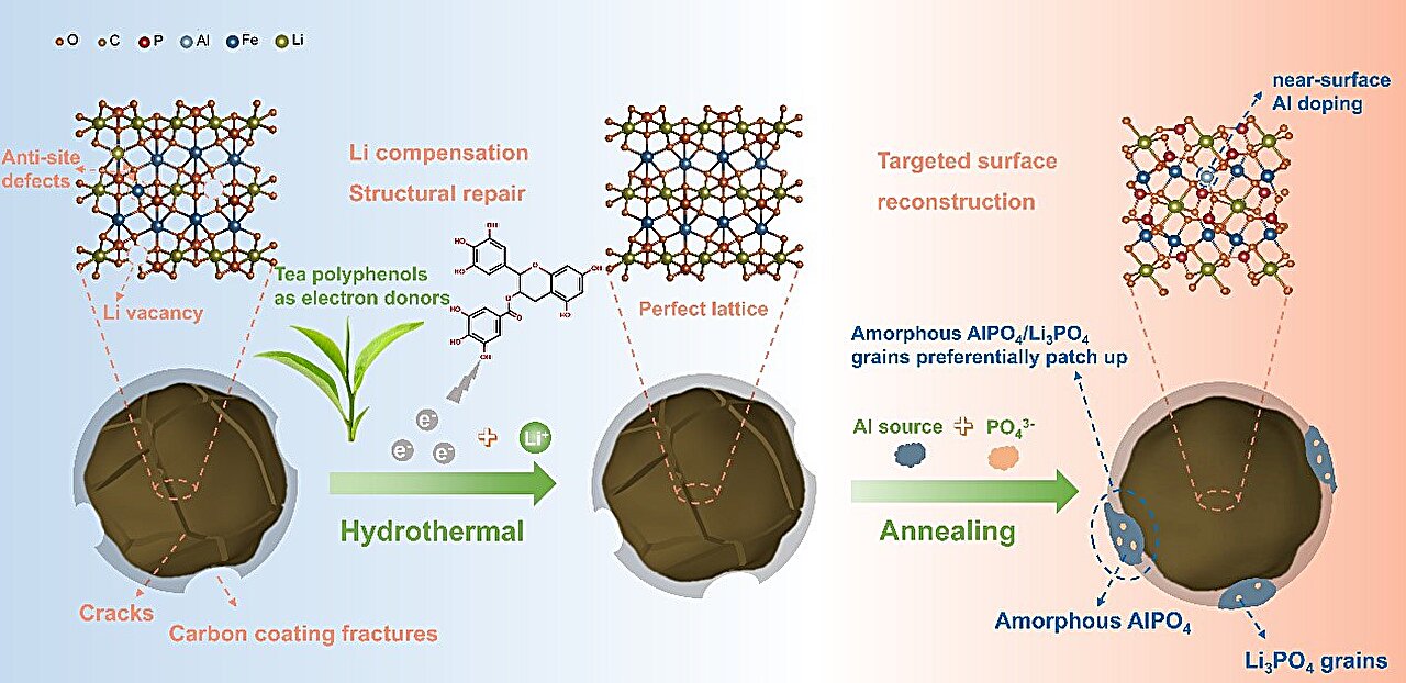 中科院利用茶多酚为退役锂电池阴极注入新活力